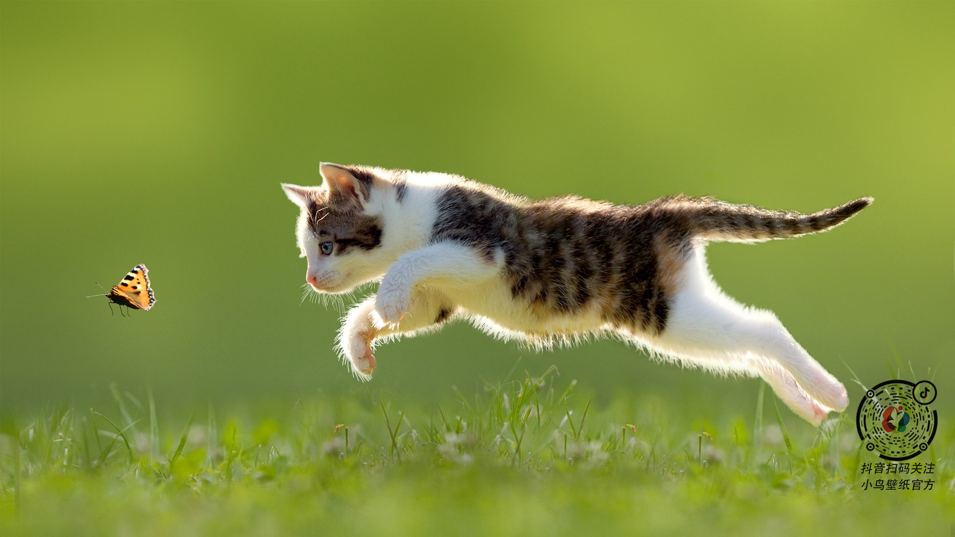 速度与团队的交响，F1新赛季揭幕焦点战与南非足球压制几内亚的体育双星