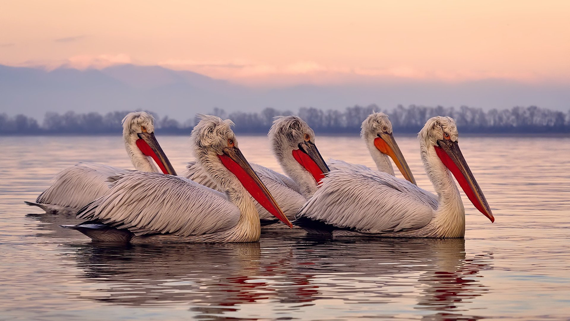 开云体育APP下载-足球·棋局·战争，当久保建英在西决生死战中接管比赛