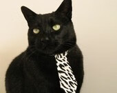 克瓦拉茨赫利亚独造四球，奥地利队友谊赛狂胜多特蒙德