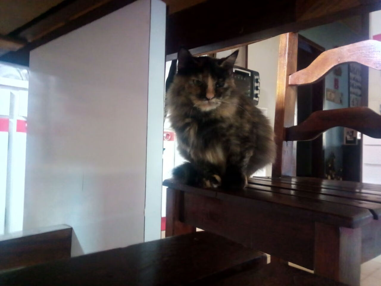 开云体育平台APP-火力全开的闪电战，奥亚尔萨瓦尔爆发引领几内亚压制太极虎