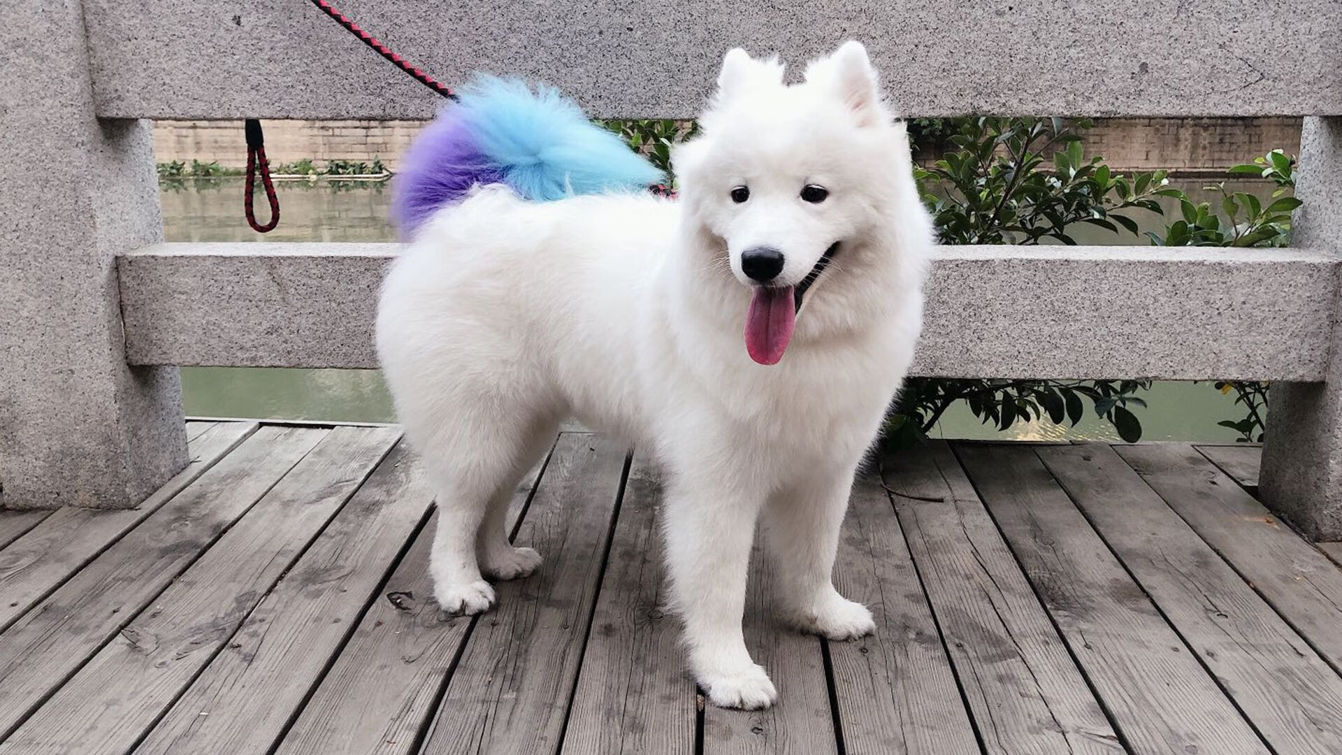 阿劳霍绝境爆发，洪都拉斯火力网窒息墨西哥