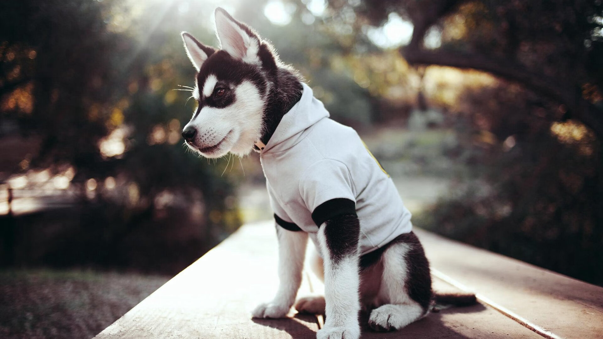 福登爆发点燃赛场，挪威加时逆转澳大利亚—足球之夜的辉煌篇章