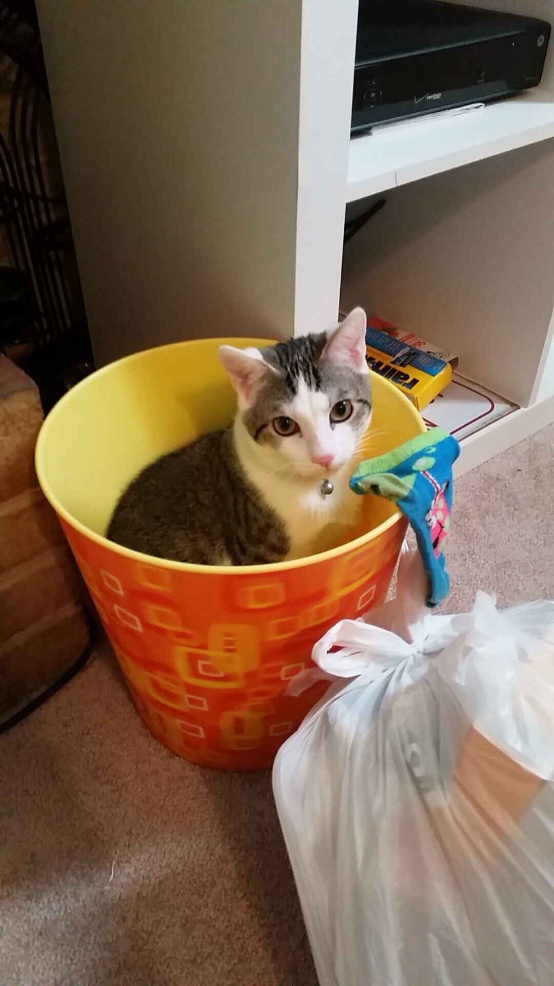 绝境铸就传奇,马赛抢七鏖战力克葡萄牙劲旅,欧冠之路再进一步