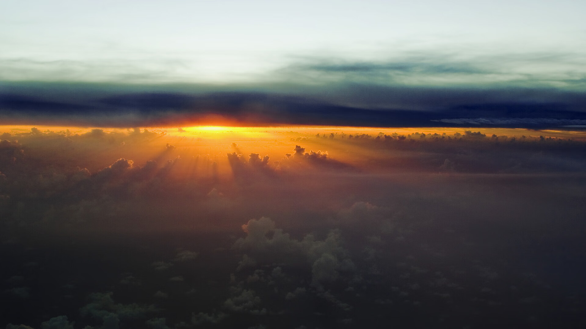 开云体育在线-紫百合绽放美利坚,巴斯托尼火热状态引领佛罗伦萨技战术胜利