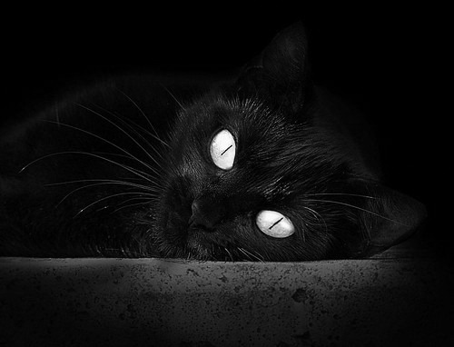 开云体育登录-熔炉中的荣耀，广东队的鏖战与詹姆斯的里程碑