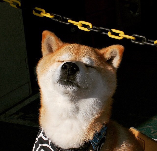 中国力量冲垮马赛，克瓦拉茨赫利亚在世界排名争夺战中接管比赛