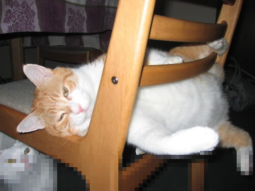 挪威血拼塞维利亚，奥利维耶一锤定音，化身皮斯胡安的关键先生